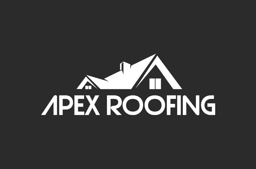 apex logo img 01